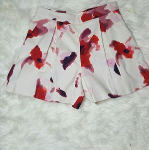 Zara Basic  shorts
